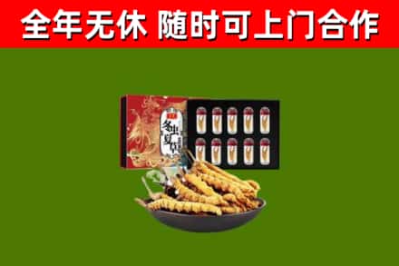 德州回收冬虫夏草价格